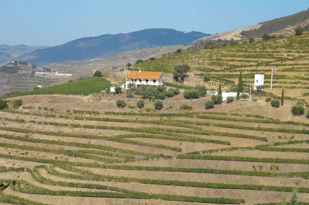 Traveling to the Duoro Valley