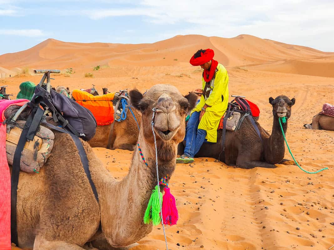 intrepid travel morocco