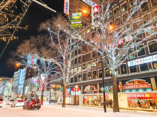 Top Things To Do In Sapporo In Winter