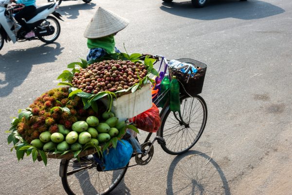 Vietnamese Fruits To Eat On Your Next Trip