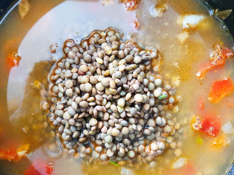 stewing lentils
