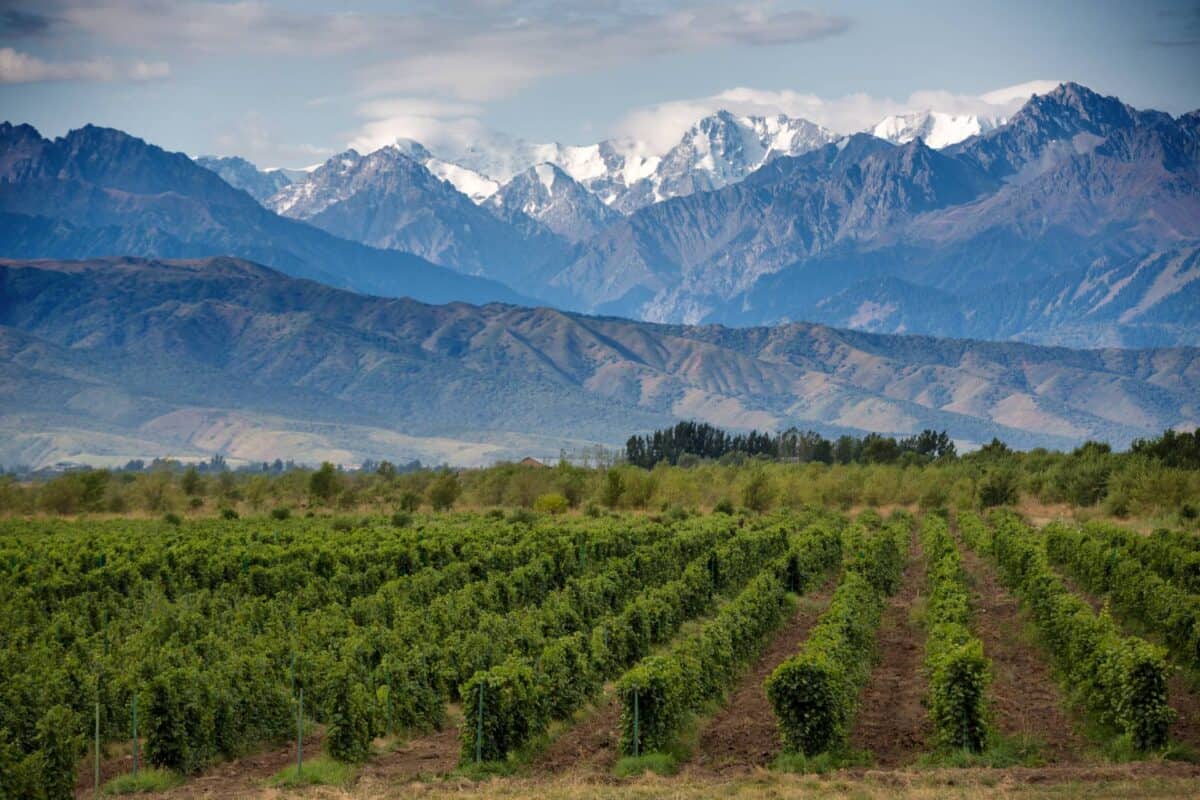 Home of Malbec