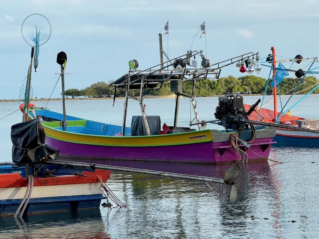 fishing boats just outside the resort property