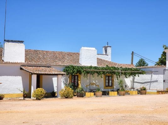 Food Lover’s Guide to the Alentejo: What to Eat & Drink in Portugal’s Heartland