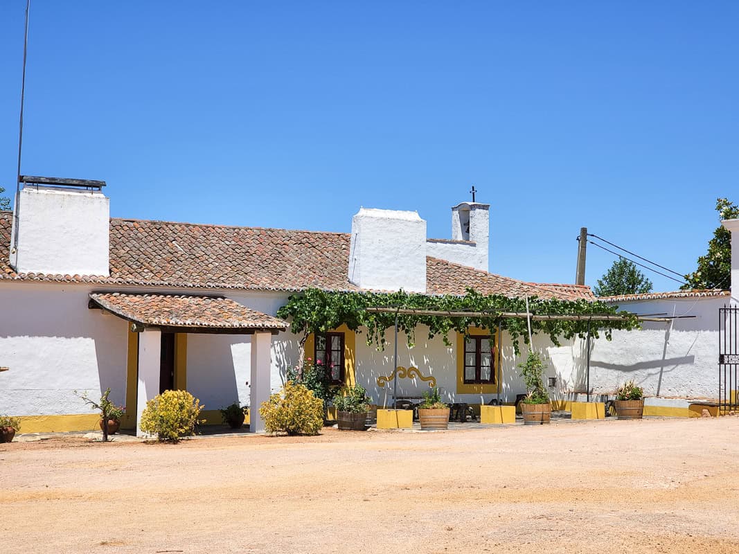 traditional wineries in Alentejo
