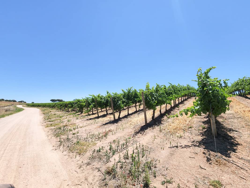 How to get around Alentejo