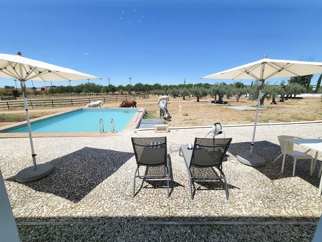 private pool at Torre de Palma Wine Hotel Suites